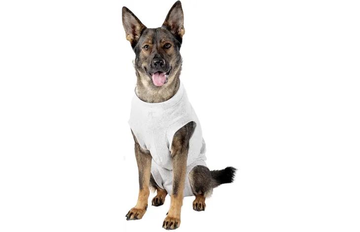 Grijze veiligheidsbody voor hond, zonder mouwen, met hals- en pootopeningen.