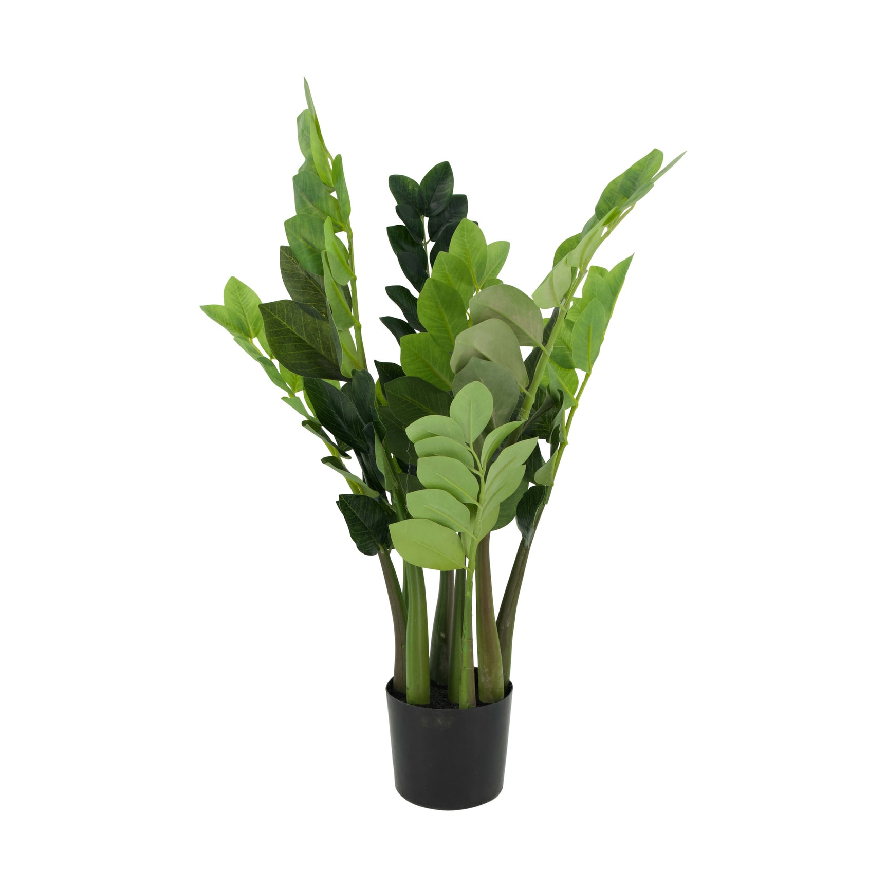 Kunstmatige zamioculcas plant in zwarte pot, meerdere groene bladeren