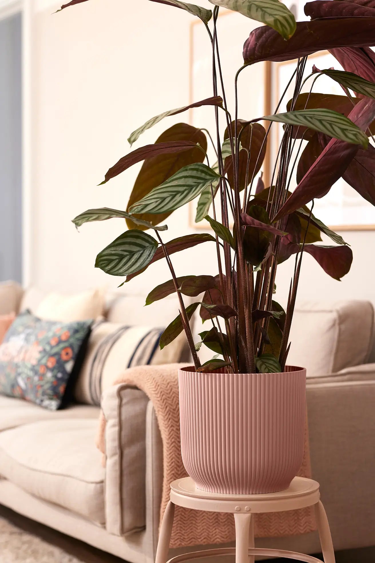 Ronde plantenpot delicate roze met groene plant, op een bijzettafeltje.