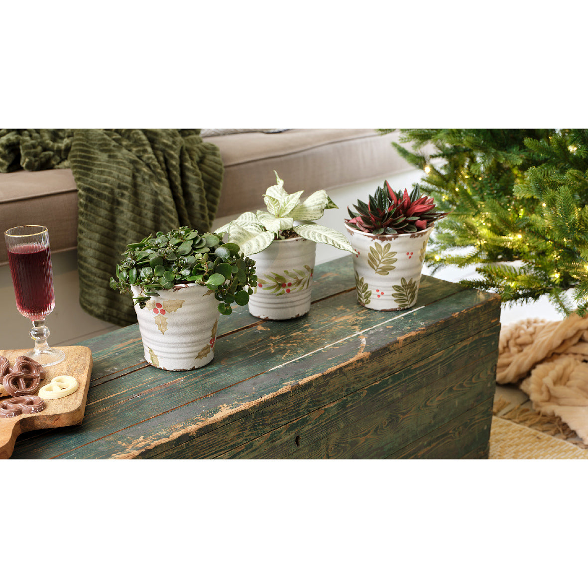 Meerdere bloempotten met witte print en mini-planten op tafel