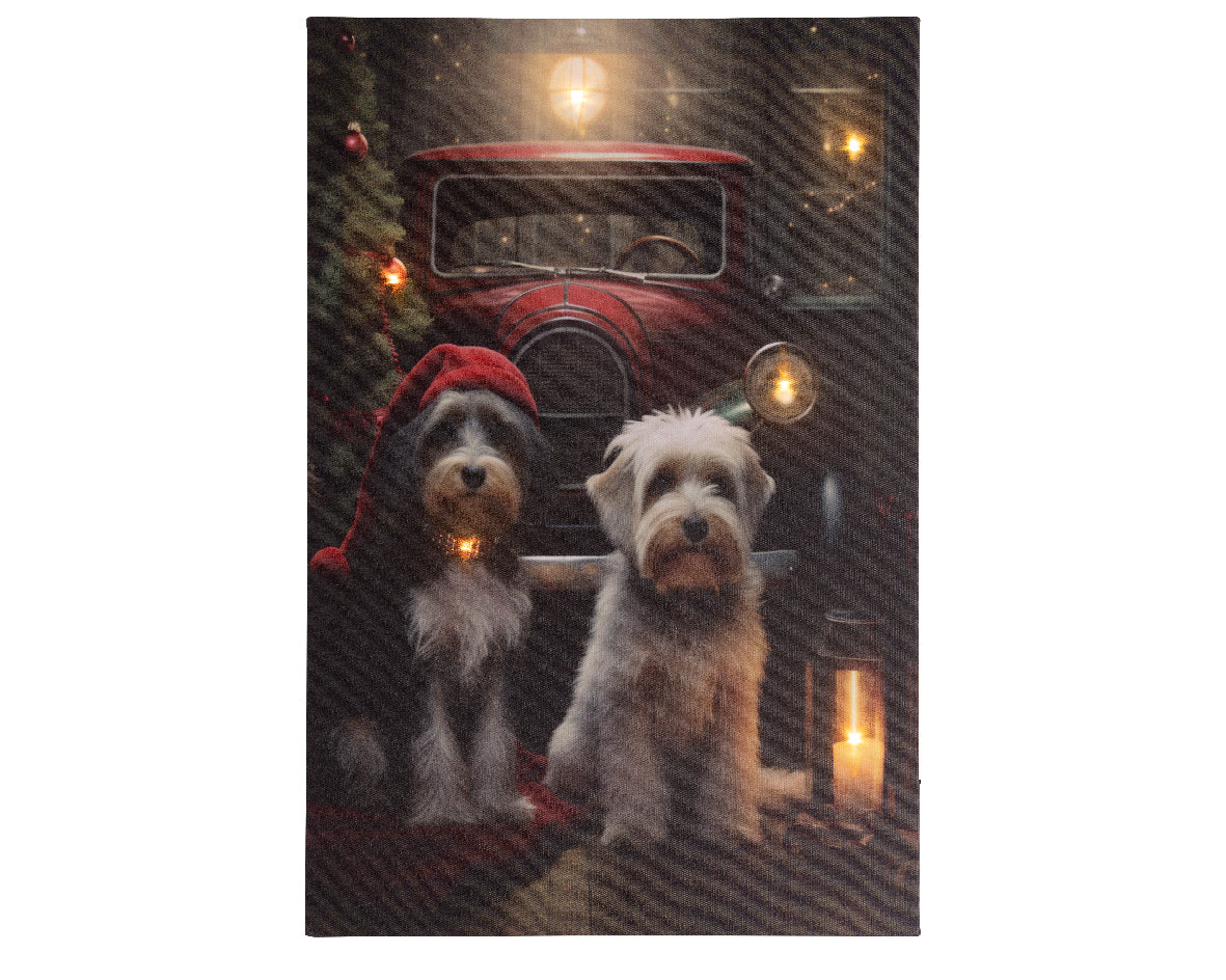 LED canvas pvc steady binnen