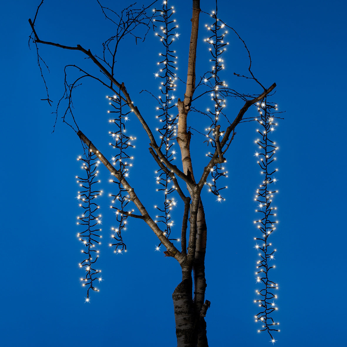 LED boomcascade cluster met lichtslierten en LED-lampjes aan takken
