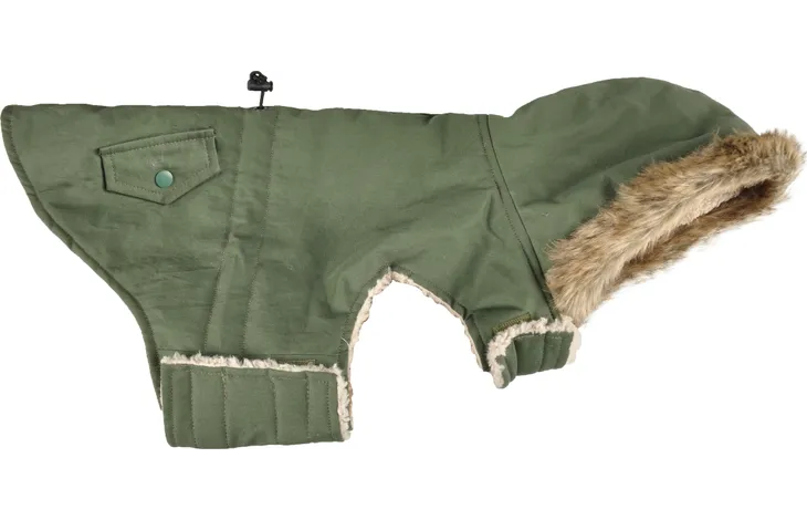 Groene hondenwinterjas met capuchon en bontkraag, knoopband bij mouw