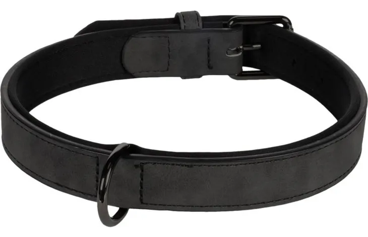 Zwarte neopreen hondenhalsband met metalen gesp en D-ring