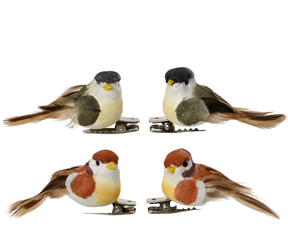 Assortiment vogelveren op knijpklem met 4 decoratieve clips, bont gekleurde vogeltjes
