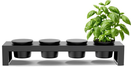 Toppingsstation met vier zwarte potjes en groene kruidenplant achterin