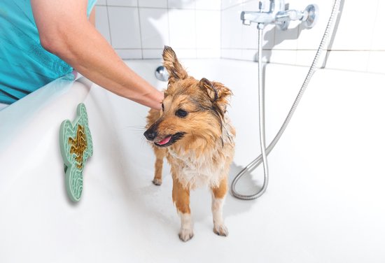 Muntgroene likmat met botvorm en noppen, gebruikt door een hond