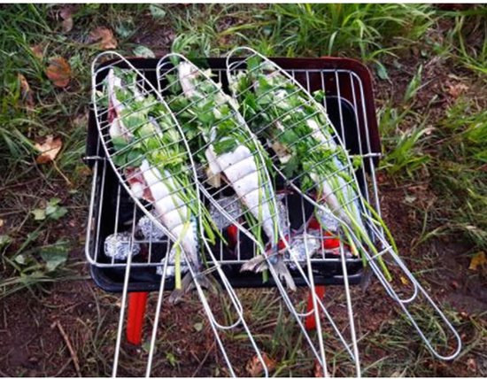 Barbecue BBQ - compact 45cm hoog