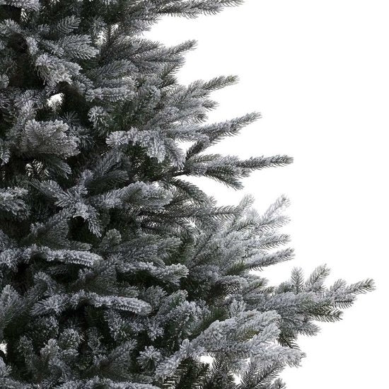 Everlands Grandis-fir sneeuwboom, close-up takken met witte sneeuw en naalden