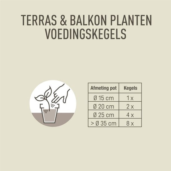 Pokon - Terras & Balkon Planten Voedingskegels 40 stuks