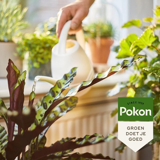 Pokon - BIO Kamerplanten voeding 500ml