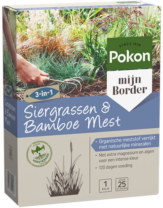 Pokon Siergrassen & Bamboe mest doos, 1 kg 3-in-1, voor extra voeding tot 120 dagen
