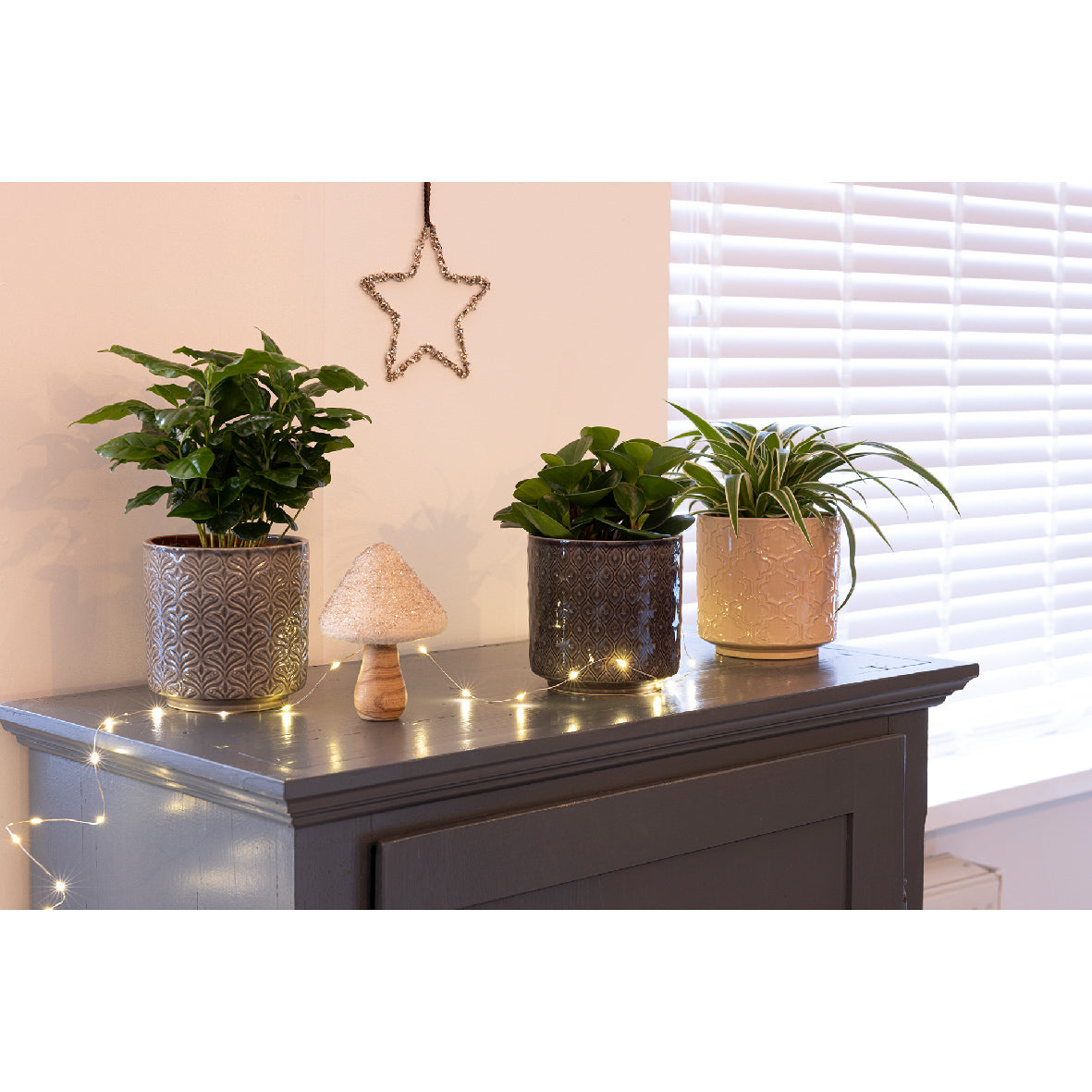 Keramische plantenbakken met 3 potten en groene planten, op houten dressoir
