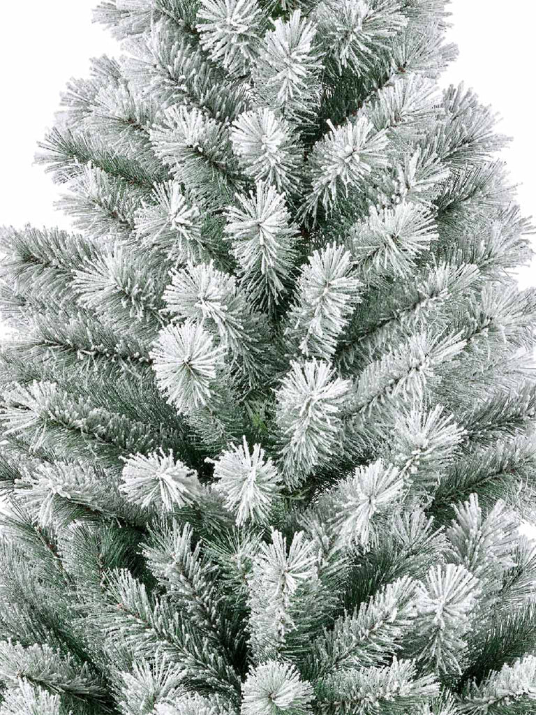 Everlands - Canada spruce dia94cm x H.150cm