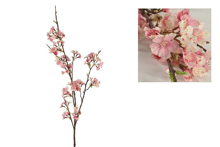 Roze kersenbloesem tak met bloesem en takken