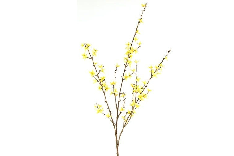 Gele bloementak met meerdere twijgen en kleine bloemen