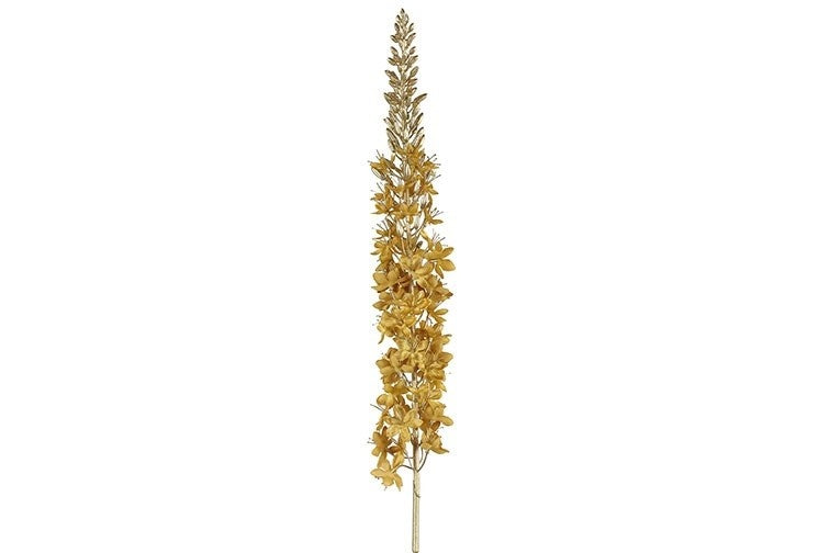 Gele Eremurus bloemstengel met lange pluim en dunne stengel