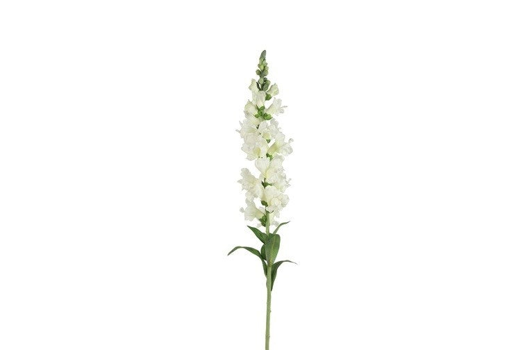 Witte antirrhinum (leeuwenbek) bloemsteel met trosbloemen en groene bladeren