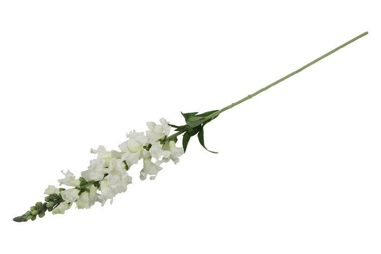 Witte antirrhinum bloemsteel met trosbloemen en enkele groene blaadjes