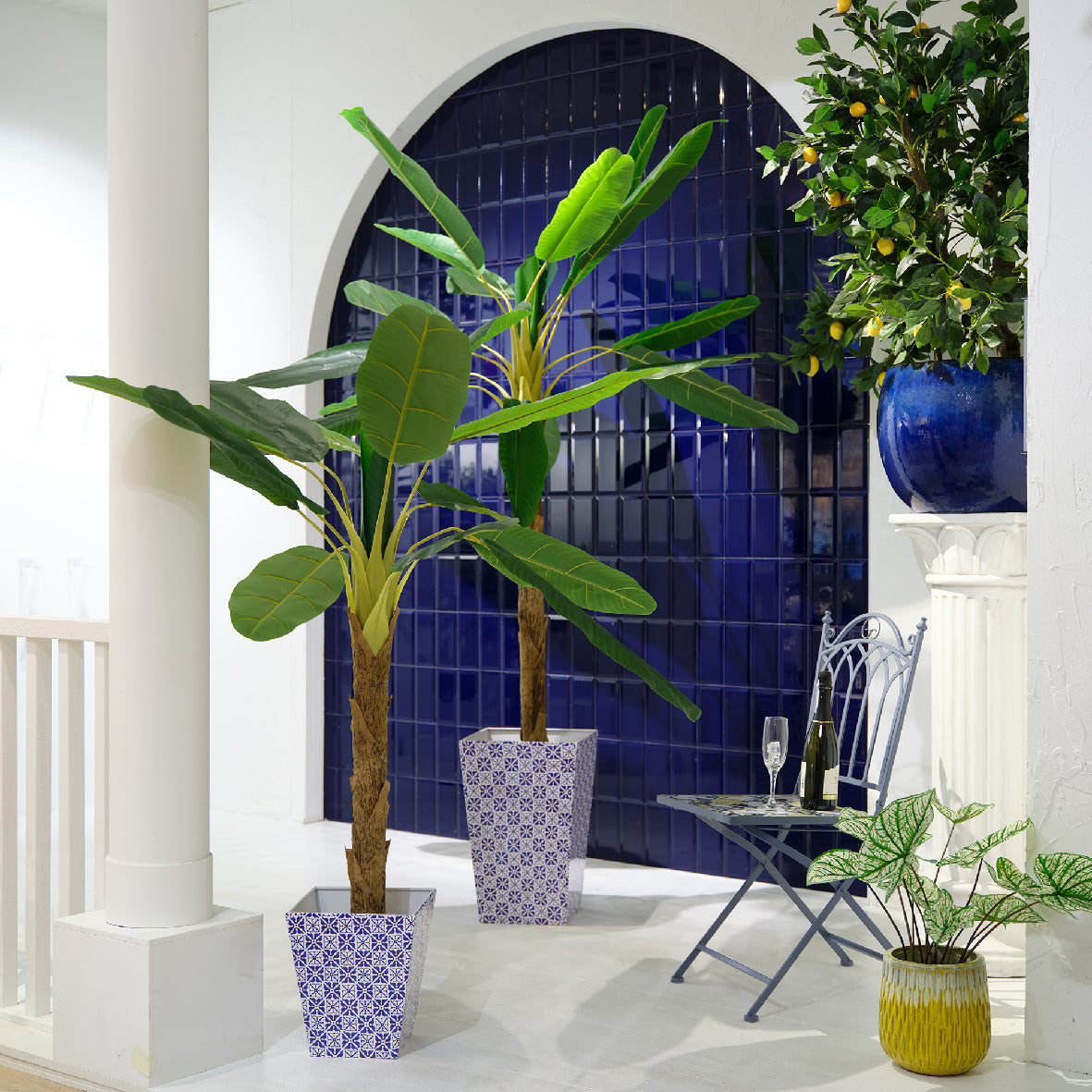 Bananenplant in patroonpot met grote groene bladeren, kamerplant
