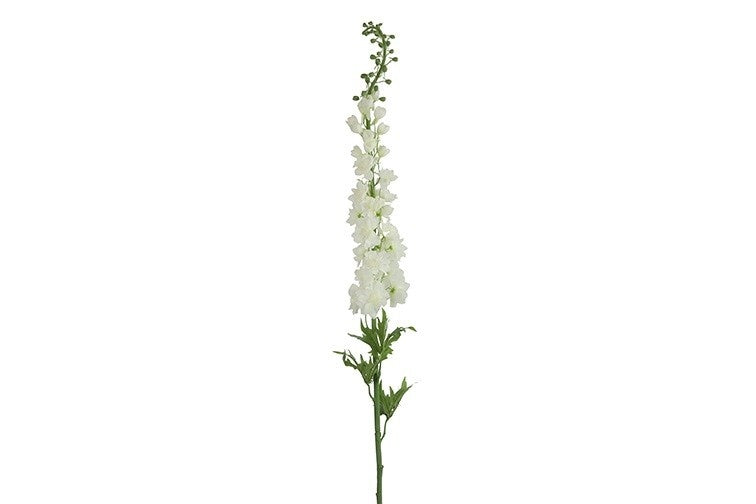 Witte delphinium tak met uitbundige bloemtros en groene stelen