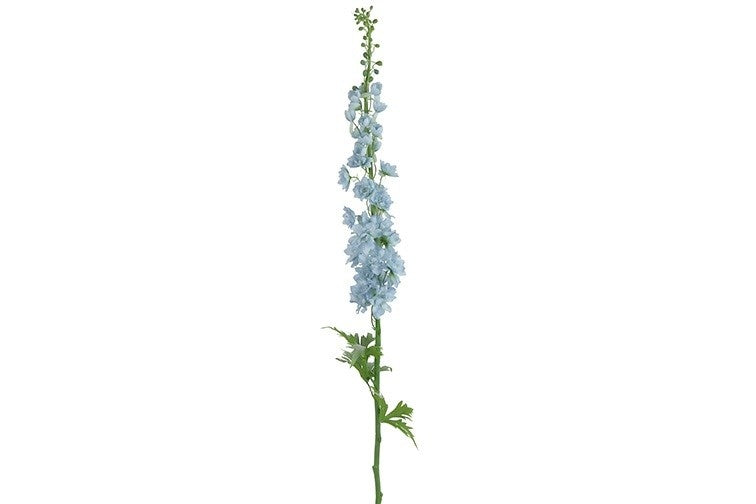 Delphinium-tak met lichtblauwe bloemen en groene bladeren, hoge steel
