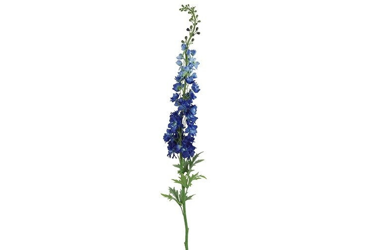Delphiniumsteel met blauwe bloemen en groene bladeren, rechtopstaand