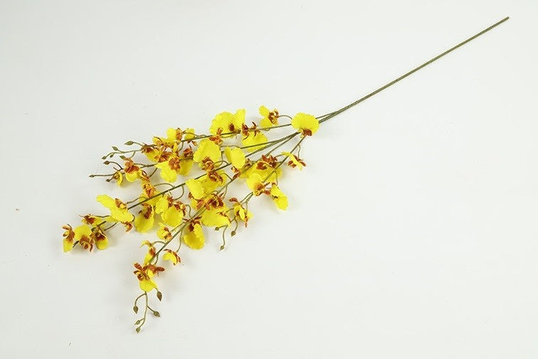 Phalaenopsis gele orchidee, zijtak met gele bloemtrosjes