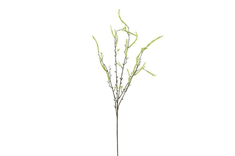 Salix babylonica geel-L86B20H5CM, wilgenboom met dunne stam en groene scheuten