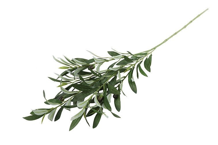 Kunstmatige olea-tak met smalle groene bladeren, uitwaaierend