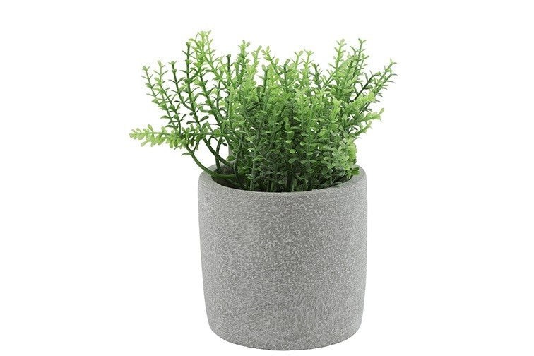 Kruidenplant in grijze pot met groene rozemarijnachtige stengels