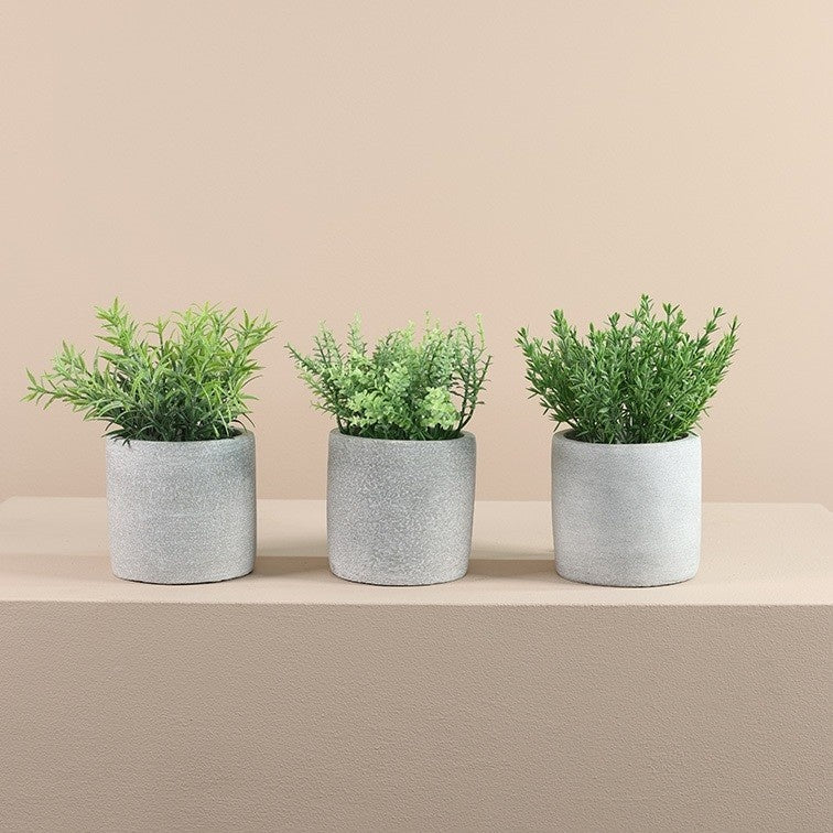 Kruidenplanten in grijze potten met groene takken, set van drie