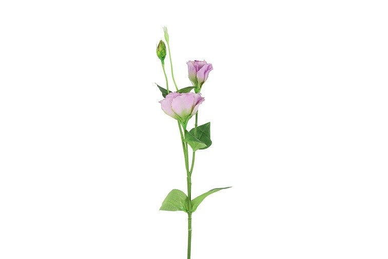 Lisianthus bloemsteel met lila bloemen en knoppen