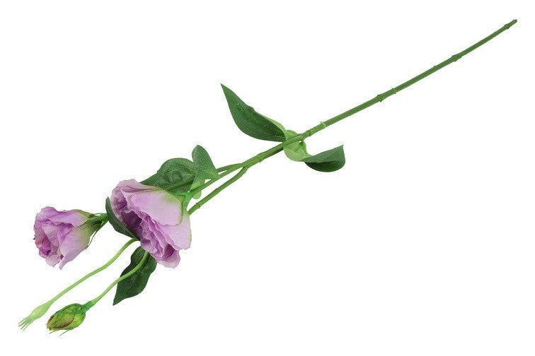 Lisianthus bloemtak met lila bloemetjes en groene bladeren