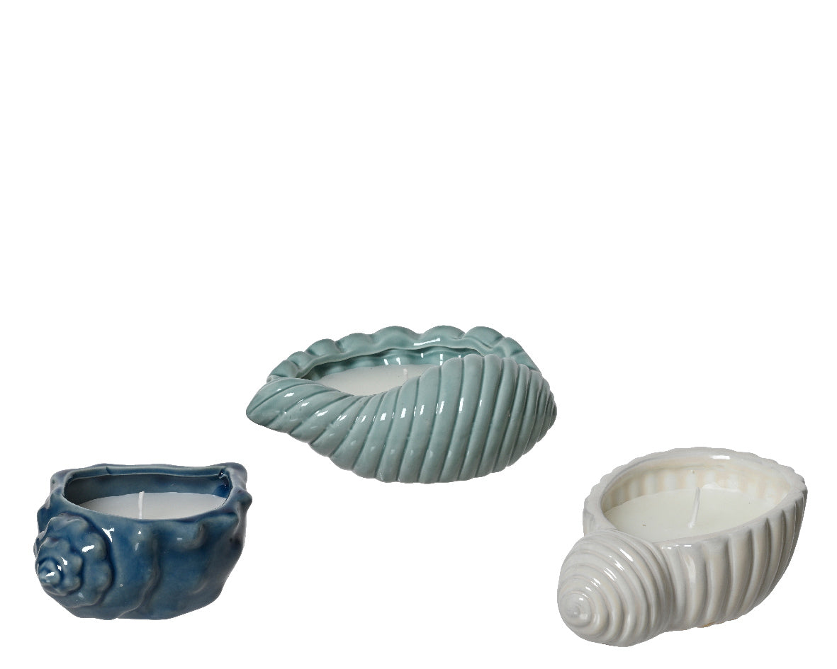 Citronella kaarsen in schelpvorm: blauw, blauwgroen en wit wax assorti
