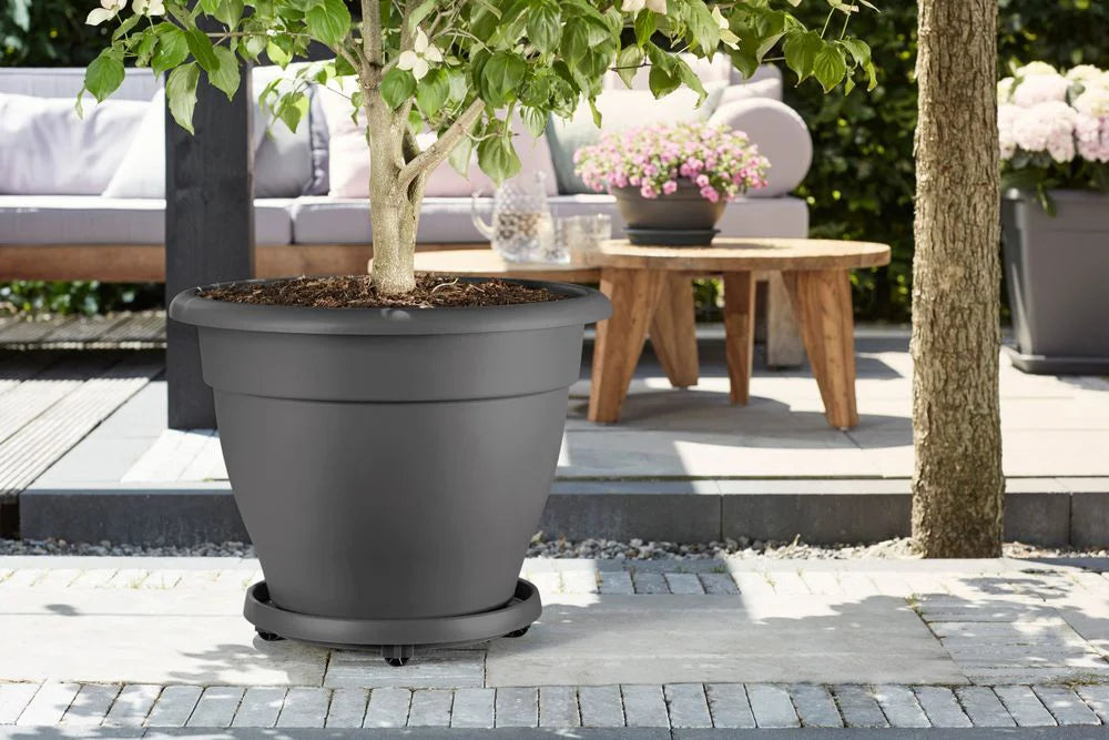 Antraciet plantentrolley met pot en kleine wieltjes, rond draaiplateau