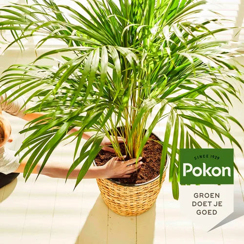 Pokon - BIO turfvrije palmen potgrond 10 liter
