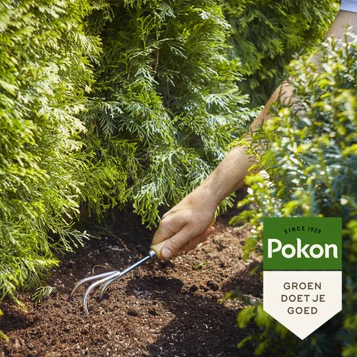 Pokon - Conifeer & Taxus Voeding 1 kilo voor 25 planten