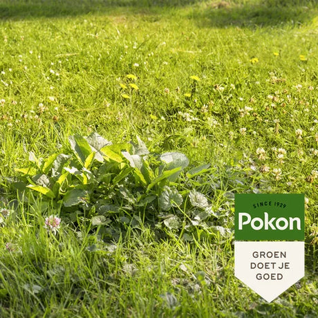 Pokon - Onkruid Weg 1,6Kg