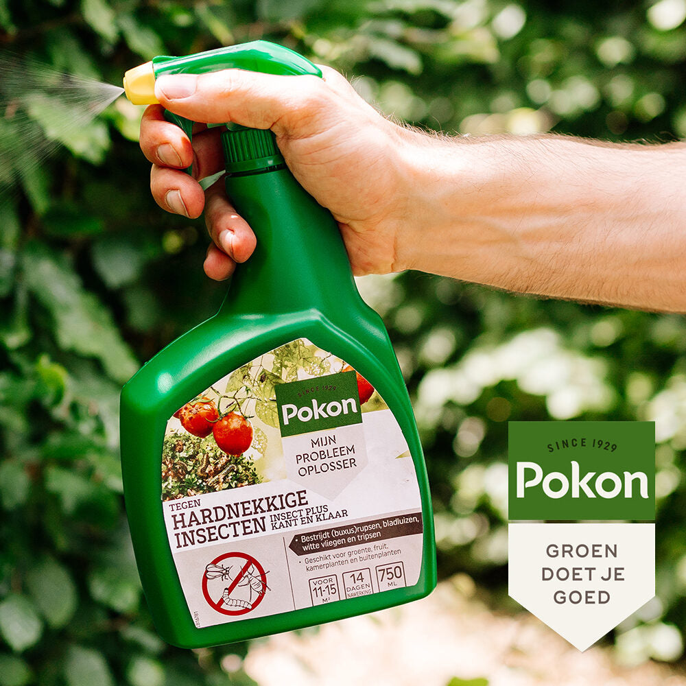 Pokon Tegen Hardnekkige Insecten Insect-Plus Kant en Klaar Spray 750ml