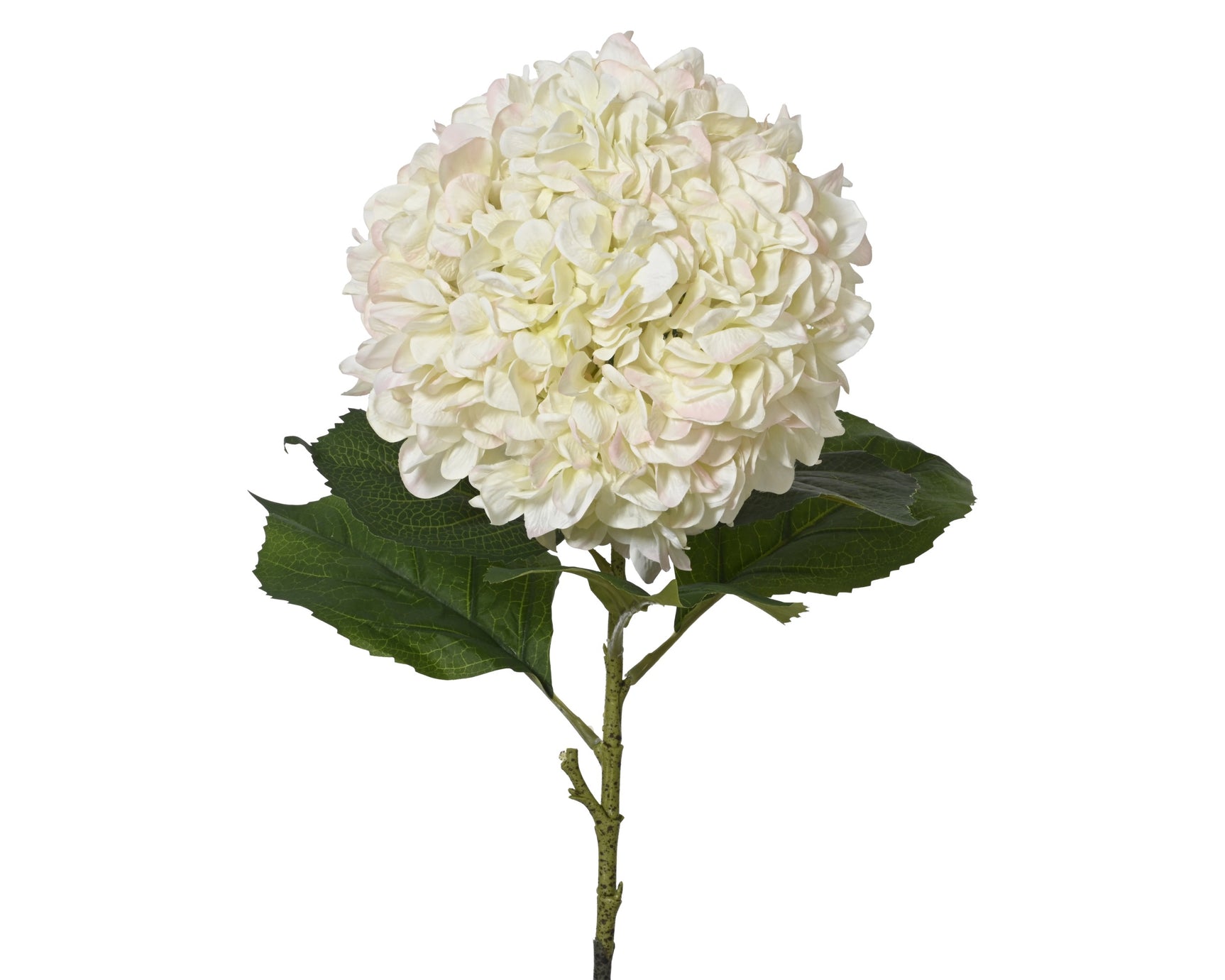 Kunstmatige hortensia (polyester) met ivoorwitte bloem en groene bladeren