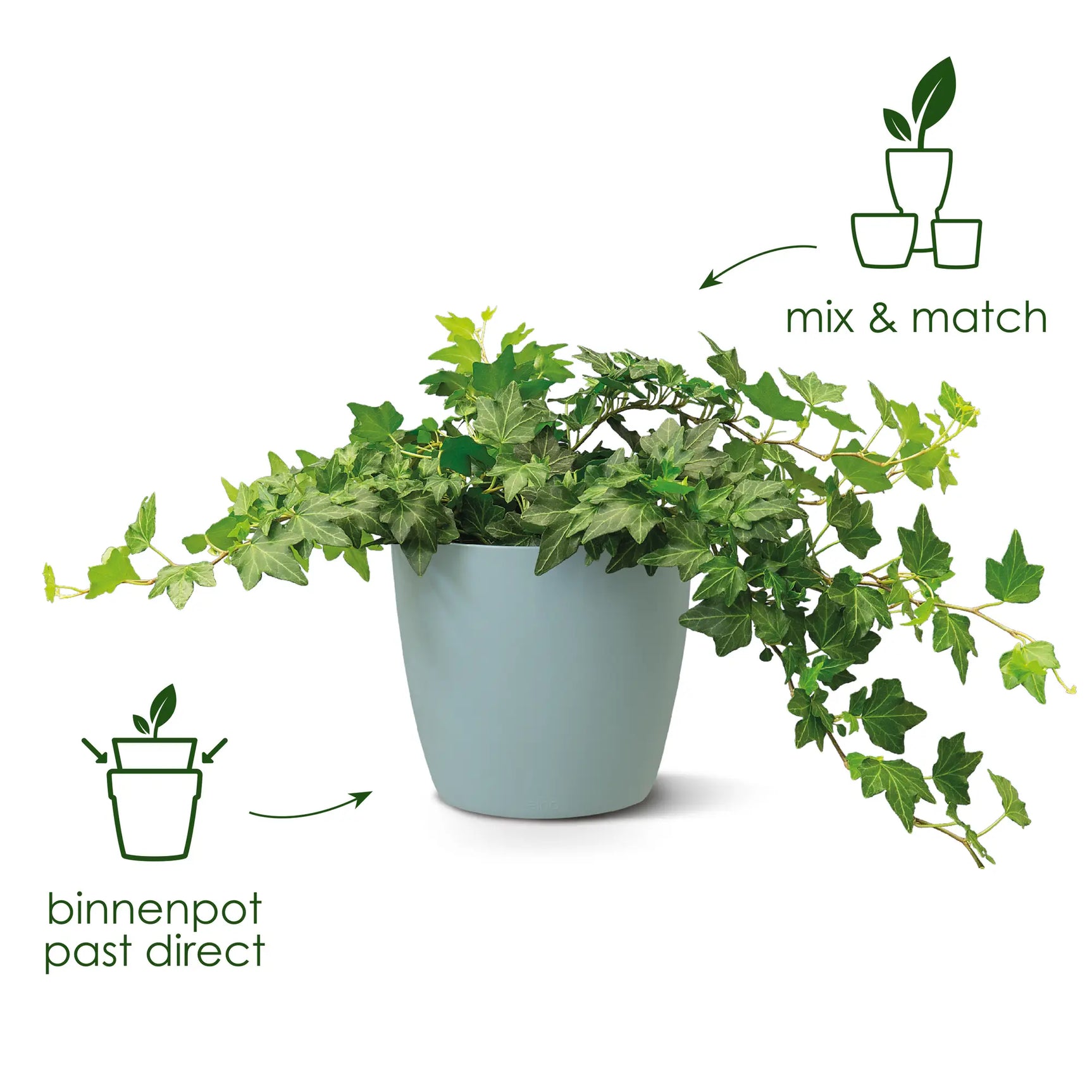 Ronde plantenpot met groene klimplant, witte en lichtblauwe pot
