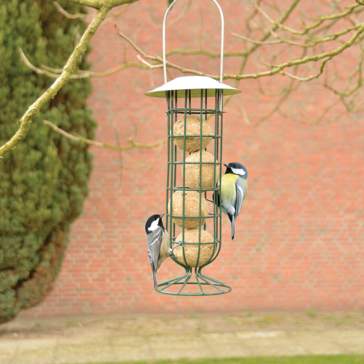 Staande vetbollenautomaat met draadkooi; twee vogels bij de voeropening