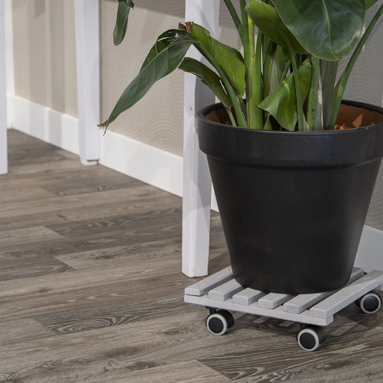 Vierkante indoor trolley met grijze planken en zwarte plantenbak op zwenkwielen, Esschert Design