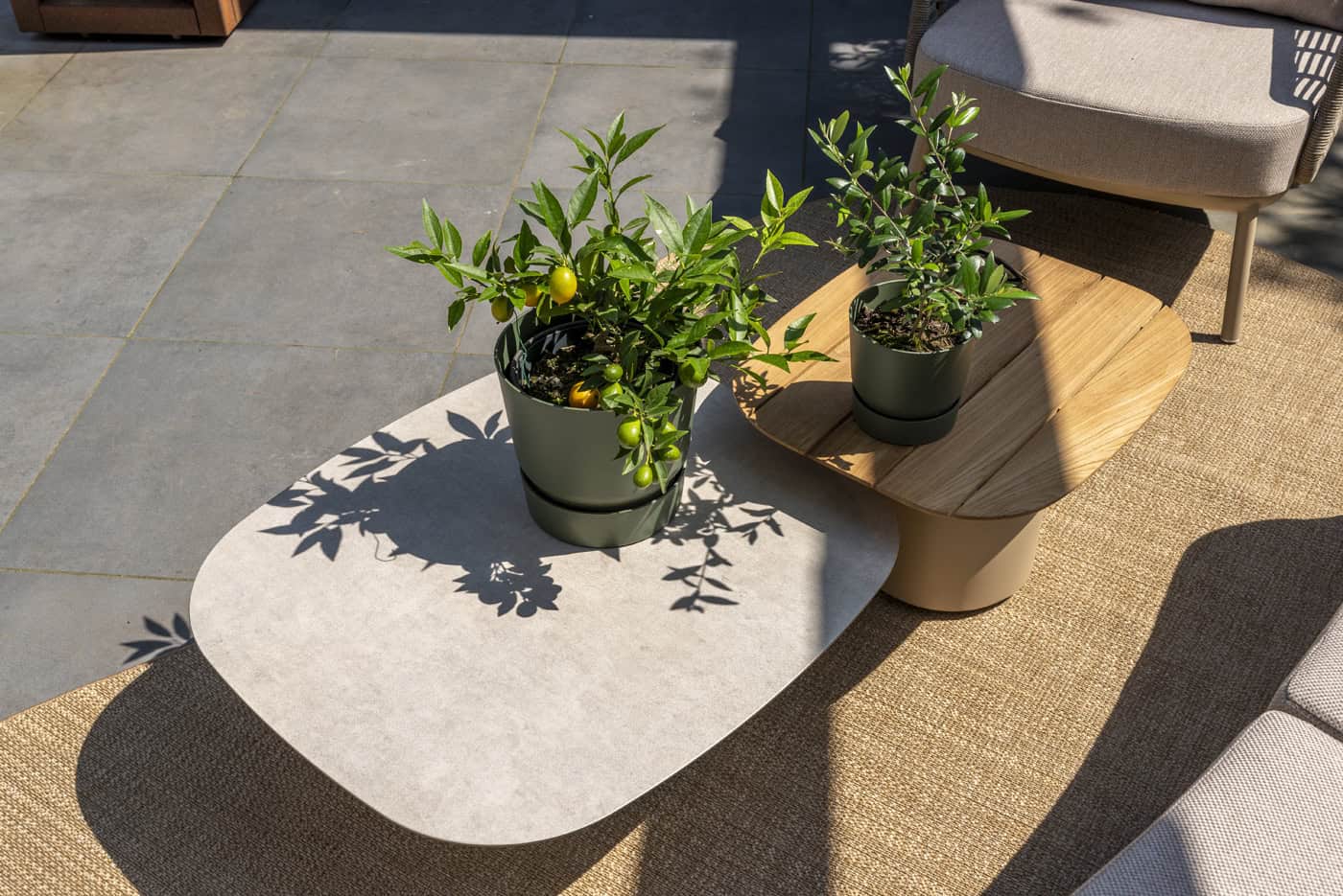 Ronde salontafel met houtlook blad en grijze voet, met planten in pot