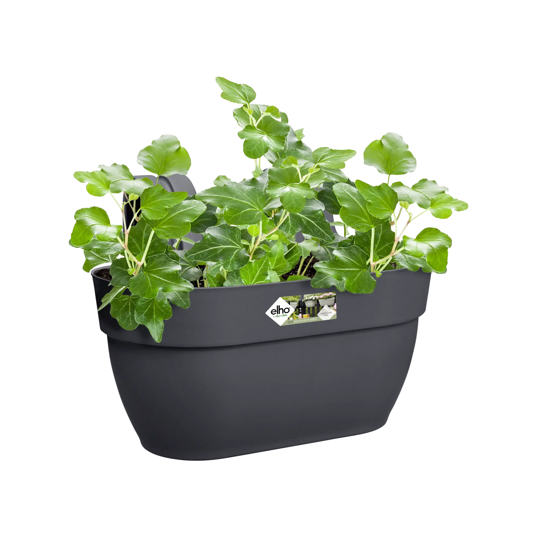 Antraciet plantenbak met groene klimplant erin