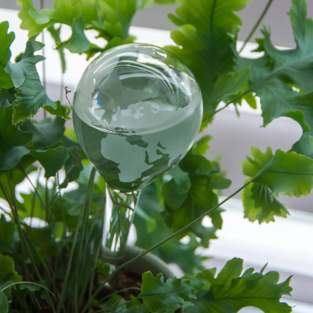 Glazen bewateringsbol met werelddecoratie tussen groene bladeren