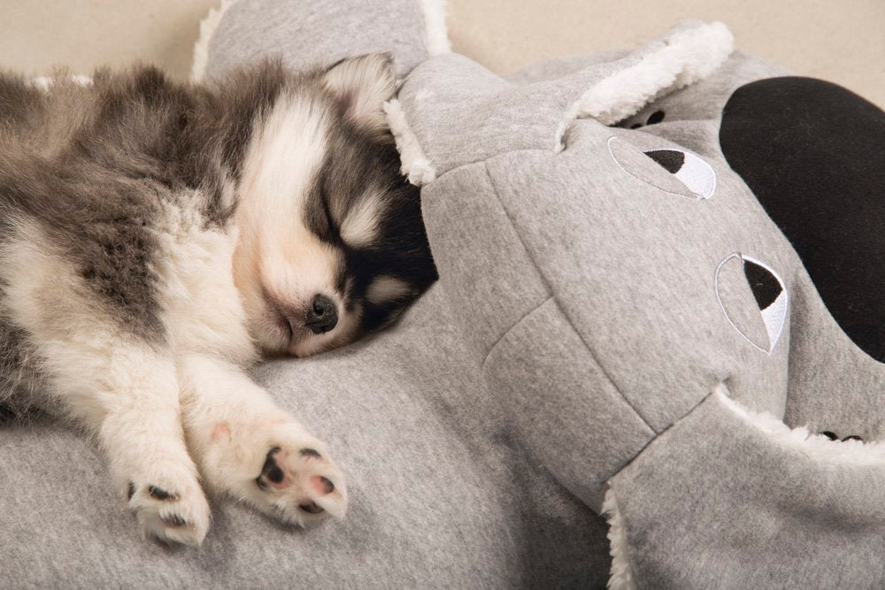 Grijze pluchen hond met zwart neusje en witte rand, met puppy erop