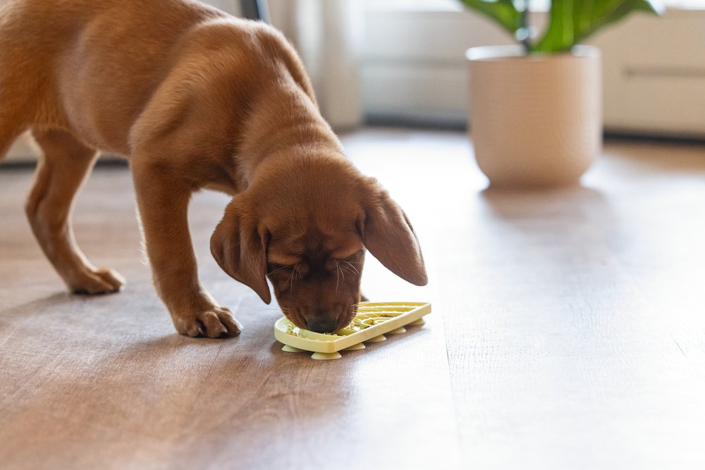 Gele siliconen puppy likmat met noppen, bruine puppy likt aan de rand