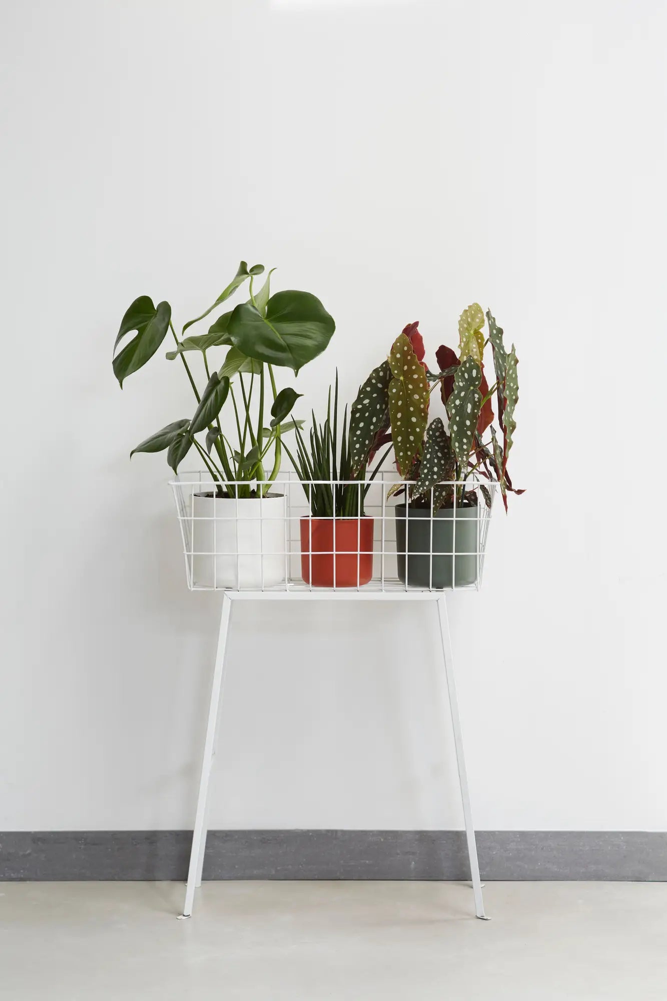 Set witte ronde bloempotten in plantenstandaard met drie poten
